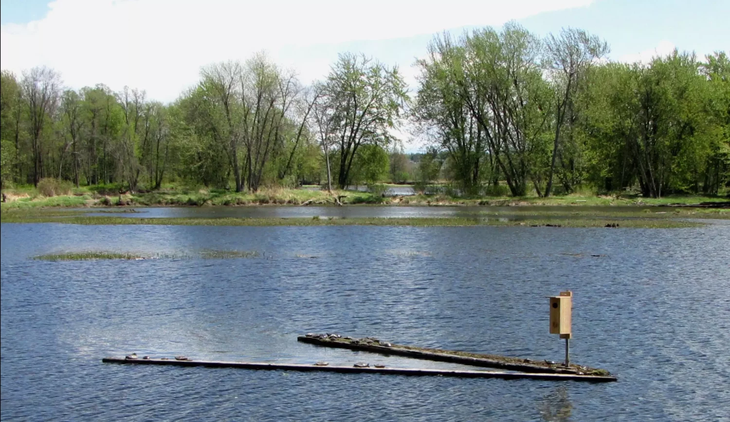 Petrie Island